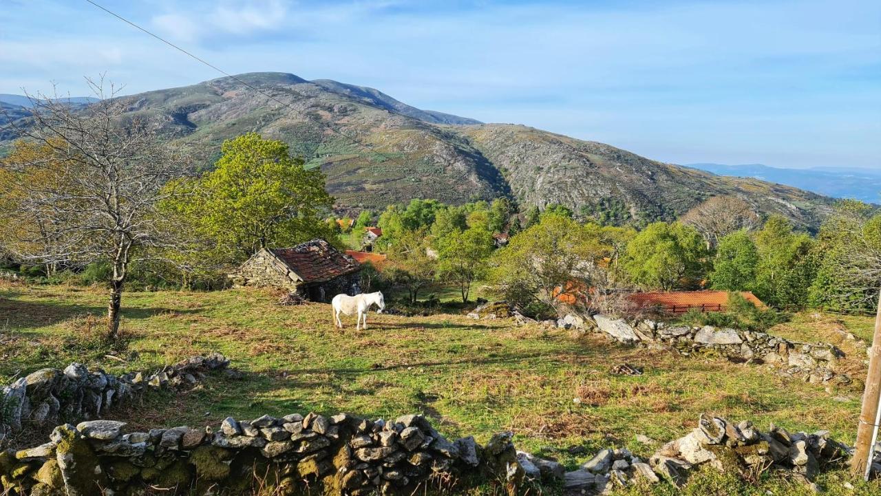 Cardenha Da Bessada Villa Branda de Santo António Exteriör bild
